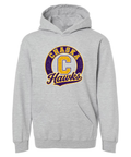 Chaska Hawks youth hoodie in athletic gray with hawk logo