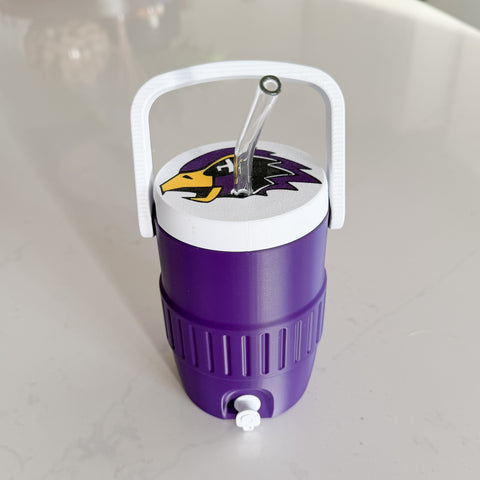 Hawks Mini Cooler - 12 oz can cooler