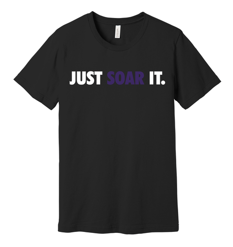 Just Soar It.  Nike-inspired Hawks Bella & Canvas Tee