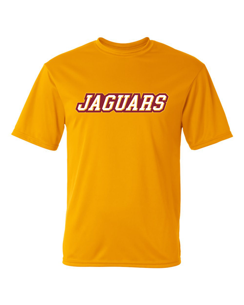 Jaguars Performance Tee - Adult & Youth