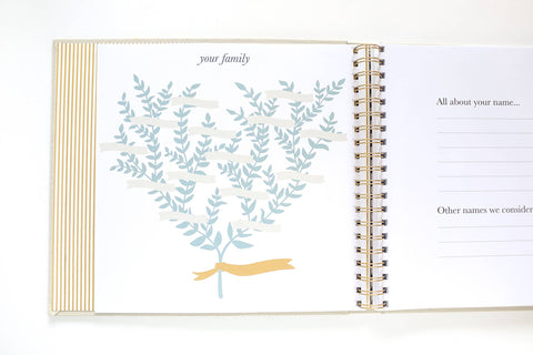 The Baby Memory Book