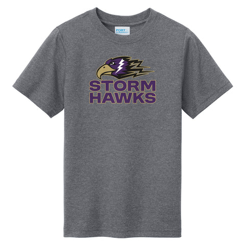 Youth Tri-Blend Tee Graphite Heather - CCHA Hockey Storm Hawks Stacked