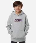 Youth Under Armour Hoodie Grey - CCHA Hockey Gold Font